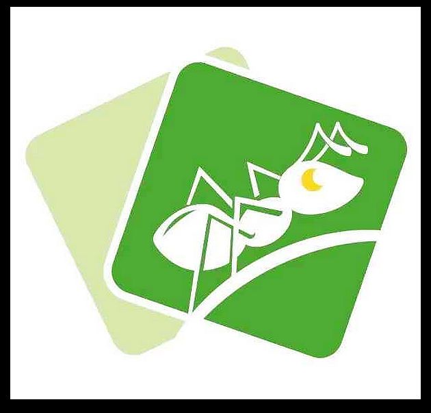 上海一只蚂蚁播音主持艺考寒假班